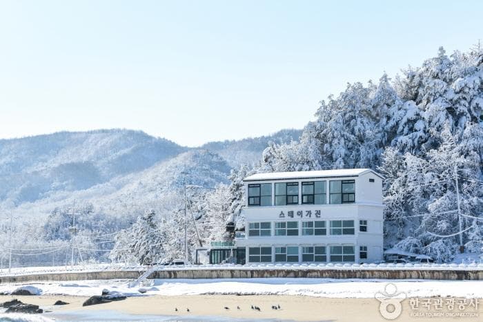 스테이가진